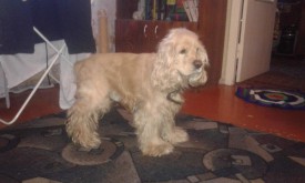 20.jpg (97.47 КБ, Просмотров: 9392) 20.jpg