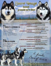 image.jpeg (137.22 КБ, Просмотров: 1782) image.jpeg