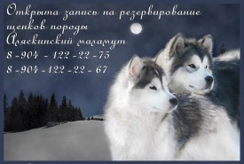 22222.jpg (82.58 КБ, Просмотров: 2509) 22222.jpg