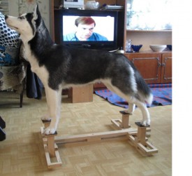 Безымянный.jpg (128.4 КБ, Просмотров: 6564) Безымянный.jpg