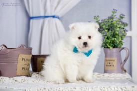 image (5).jpg (76.92 КБ, Просмотров: 1306) image (5).jpg