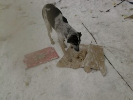 image.jpeg (87.64 КБ, Просмотров: 1382) image.jpeg