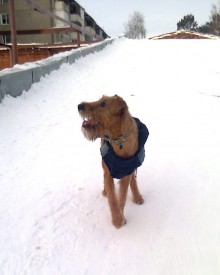 Фото1581.jpg (74.79 КБ, Просмотров: 1634) Фото1581.jpg