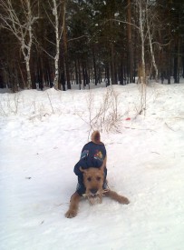 Фото1584.jpg (139.41 КБ, Просмотров: 1883) Фото1584.jpg