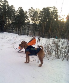 Фото1588.jpg (145.51 КБ, Просмотров: 1890) Фото1588.jpg