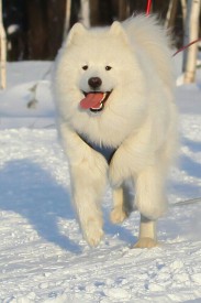 IMG_20151201_141811.jpg (69.51 КБ, Просмотров: 1158) IMG_20151201_141811.jpg