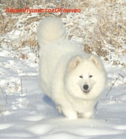 2015-12-02 01.09.55.jpg (79.23 КБ, Просмотров: 1112) 2015-12-02 01.09.55.jpg