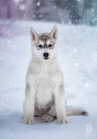 по.jpg (52.86 КБ, Просмотров: 1129) по.jpg