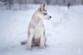 п.jpg (37.53 КБ, Просмотров: 1129) п.jpg