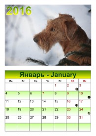 ЯНВАРЬ.jpg (342.58 КБ, Просмотров: 1684) ЯНВАРЬ.jpg