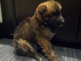 20151212_193437.jpg (193.67 КБ, Просмотров: 3266) 20151212_193437.jpg