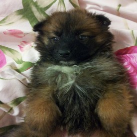 20151215_215757.jpg (142.56 КБ, Просмотров: 3266) 20151215_215757.jpg