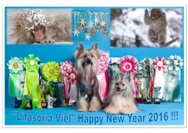 с НГ от ЛВ ev.jpg (557.3 КБ, Просмотров: 9168) с НГ от ЛВ ev.jpg