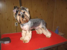 IMG_0767 2.jpg (57.42 КБ, Просмотров: 21885) IMG_0767 2.jpg