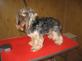 IMG_0761 2.jpg (62.81 КБ, Просмотров: 22643) IMG_0761 2.jpg