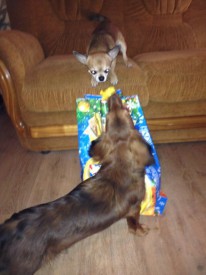 grAdjAHk4gw.jpg (49.92 КБ, Просмотров: 10500) grAdjAHk4gw.jpg