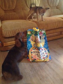 G8zjkqIhSNE.jpg (59.28 КБ, Просмотров: 10507) G8zjkqIhSNE.jpg