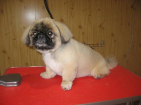 IMG_0788 2.jpg (50.11 КБ, Просмотров: 22035) IMG_0788 2.jpg