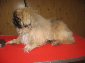 IMG_0782 2.jpg (57.29 КБ, Просмотров: 22538) IMG_0782 2.jpg