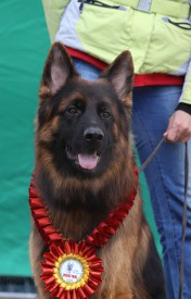 13ASQbjcg.jpg (255.82 КБ, Просмотров: 1279) 13ASQbjcg.jpg