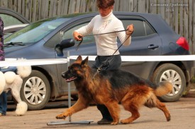 xdQJKZYN.jpg (141.19 КБ, Просмотров: 1278) xdQJKZYN.jpg