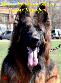 L8wqLaLM.jpg (45.46 КБ, Просмотров: 1278) L8wqLaLM.jpg