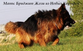 image (3).jpg (78.38 КБ, Просмотров: 1278) image (3).jpg