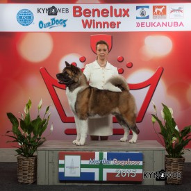 11015162_10204427885234429_1290323124_n.jpg (202.95 КБ, Просмотров: 8789) 11015162_10204427885234429_1290323124_n.jpg