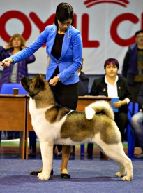 11698551_1877137292510585_104589097815904536_n.jpg (90.22 КБ, Просмотров: 8235) 11698551_1877137292510585_104589097815904536_n.jpg