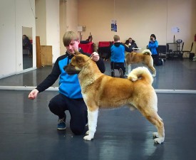 10955740_1782257491998566_2952727086117840087_n.jpg (79.91 КБ, Просмотров: 9264) 10955740_1782257491998566_2952727086117840087_n.jpg