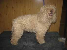 IMG_0827 2.jpg (104.47 КБ, Просмотров: 22349) IMG_0827 2.jpg