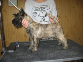 IMG_0842 2.jpg (161.45 КБ, Просмотров: 22360) IMG_0842 2.jpg