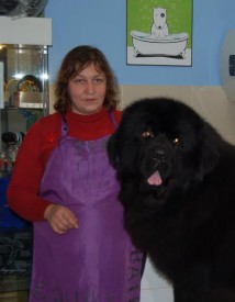 Матвеище.jpg (16.63 КБ, Просмотров: 1314) Матвеище.jpg