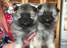 image.jpg (223.61 КБ, Просмотров: 3301) image.jpg