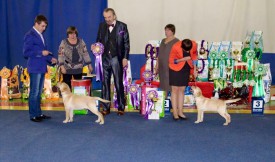 image.jpeg (139.46 КБ, Просмотров: 1934) image.jpeg