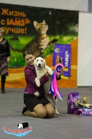 1621a5118b60.jpg (226.55 КБ, Просмотров: 157423) 1621a5118b60.jpg