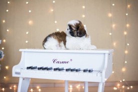 12642784_1954809244745258_7269368700784916218_n.jpg (40.43 КБ, Просмотров: 1215) 12642784_1954809244745258_7269368700784916218_n.jpg