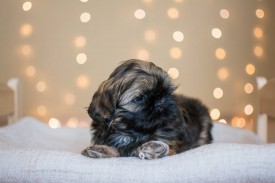 12644821_1954808688078647_7398430243101542473_n.jpg (46.82 КБ, Просмотров: 1215) 12644821_1954808688078647_7398430243101542473_n.jpg