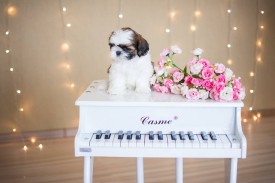 12670098_1954809194745263_3835793421913302195_n.jpg (47.49 КБ, Просмотров: 1215) 12670098_1954809194745263_3835793421913302195_n.jpg