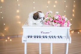 12669578_1954809044745278_7075897130253167086_n.jpg (47.43 КБ, Просмотров: 1215) 12669578_1954809044745278_7075897130253167086_n.jpg