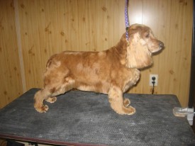 IMG_0852 2.jpg (110.93 КБ, Просмотров: 22209) IMG_0852 2.jpg