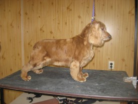 IMG_0860 2.jpg (95.69 КБ, Просмотров: 21599) IMG_0860 2.jpg