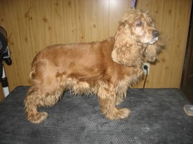 IMG_0847 2.jpg (80.84 КБ, Просмотров: 22199) IMG_0847 2.jpg