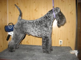 Юстон 2.jpg (212.09 КБ, Просмотров: 21799) Юстон 2.jpg