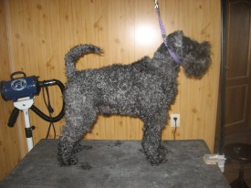 Юстон 1.jpg (166.22 КБ, Просмотров: 21532) Юстон 1.jpg