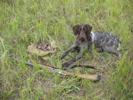 Peggi01.jpg (452.06 КБ, Просмотров: 1862) Peggi01.jpg