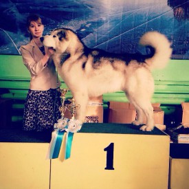 d45489e26f64a4ee3ef9dc9fba747cd754cb0372cf5fe9875563f0cd69e0c0e9.jpg (78.16 КБ, Просмотров: 2894) d45489e26f64a4ee3ef9dc9fba747cd754cb0372cf5fe9875563f0cd69e0c0e9.jpg