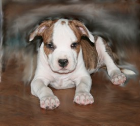 6.jpg (93.43 КБ, Просмотров: 1655) 6.jpg