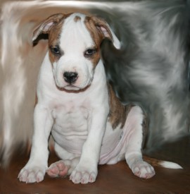 8.jpg (99.25 КБ, Просмотров: 1507) 8.jpg