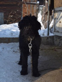 кане6гн.jpg (110.63 КБ, Просмотров: 3738) кане6гн.jpg